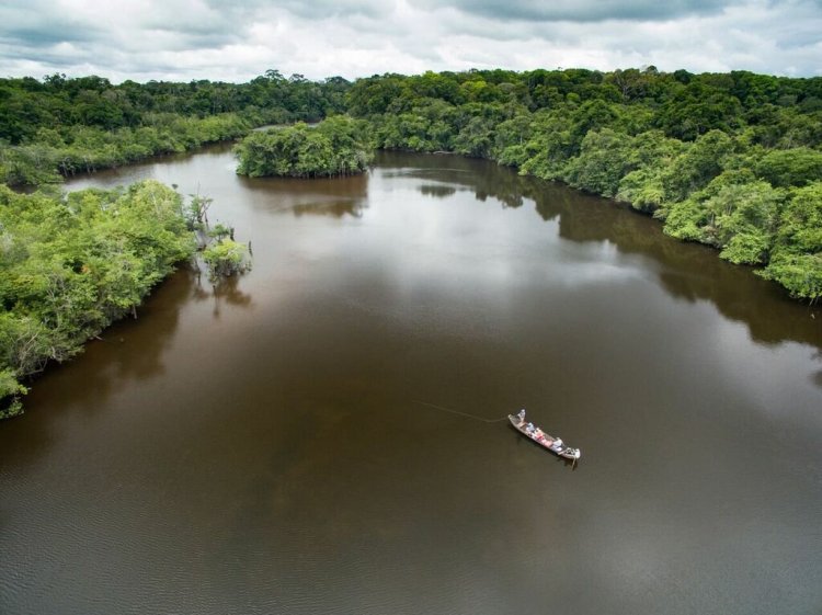 Over head scene of pond in Guyana